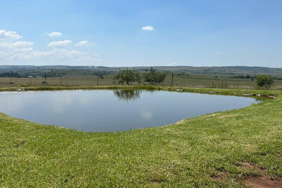 A scenic view of a natural pond set within open agricultural land, featuring grassy banks and distant rolling hills.