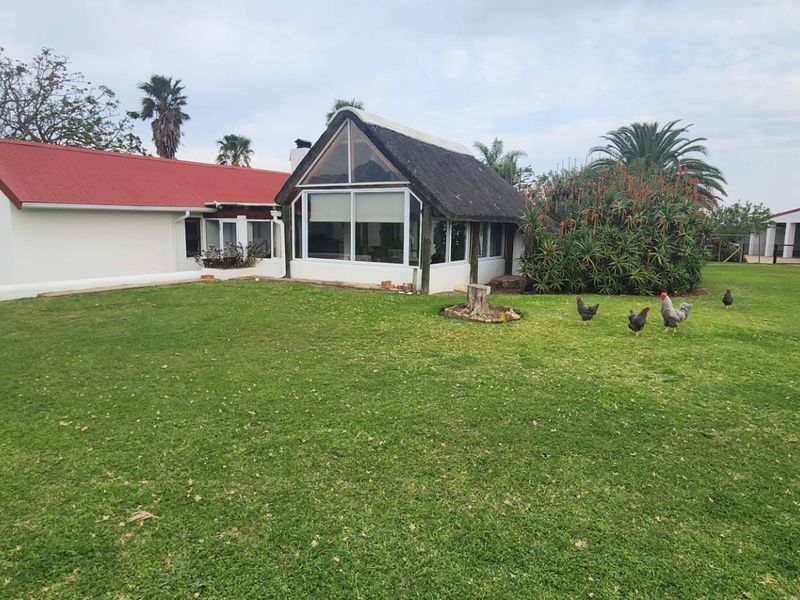 A rear view of the farm property featuring a combination of thatched and red metal roofing, large windows, and a well-maintained lawn.