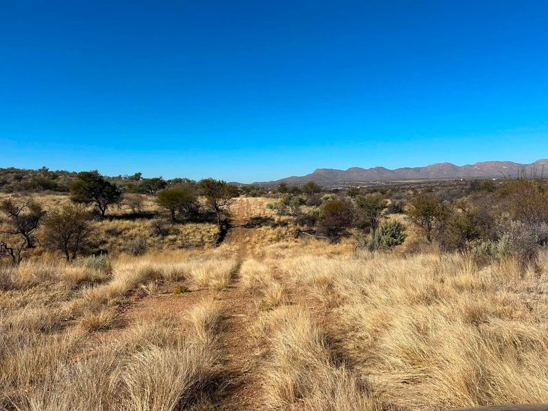 A scenic view of the vacant residential land featuring natural dry grassland, native trees, and distant mountain ranges under a clear blue sky.