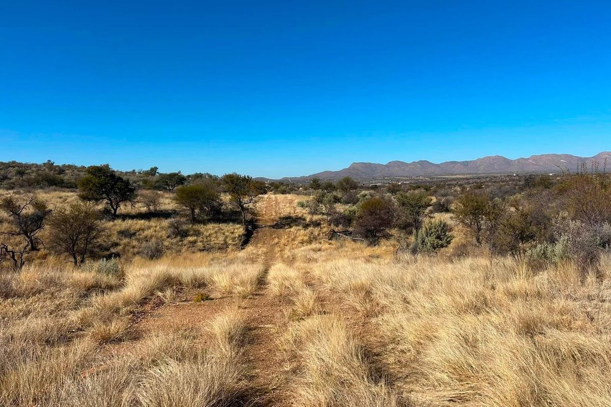 A scenic view of the vacant residential land featuring natural dry grassland, native trees, and distant mountain ranges under a clear blue sky.