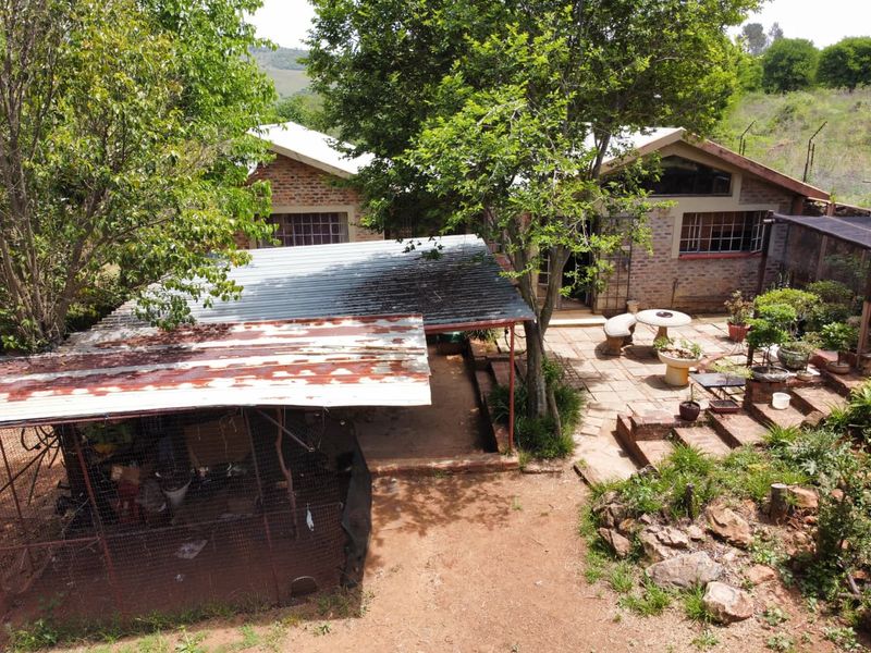 Income-Generating Smallholding with Water Security and Development Potential - Photo 8