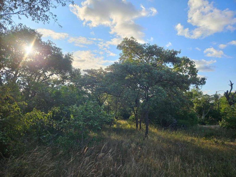Vacant Land in MODITLO NATURE RESERVE - Photo 2