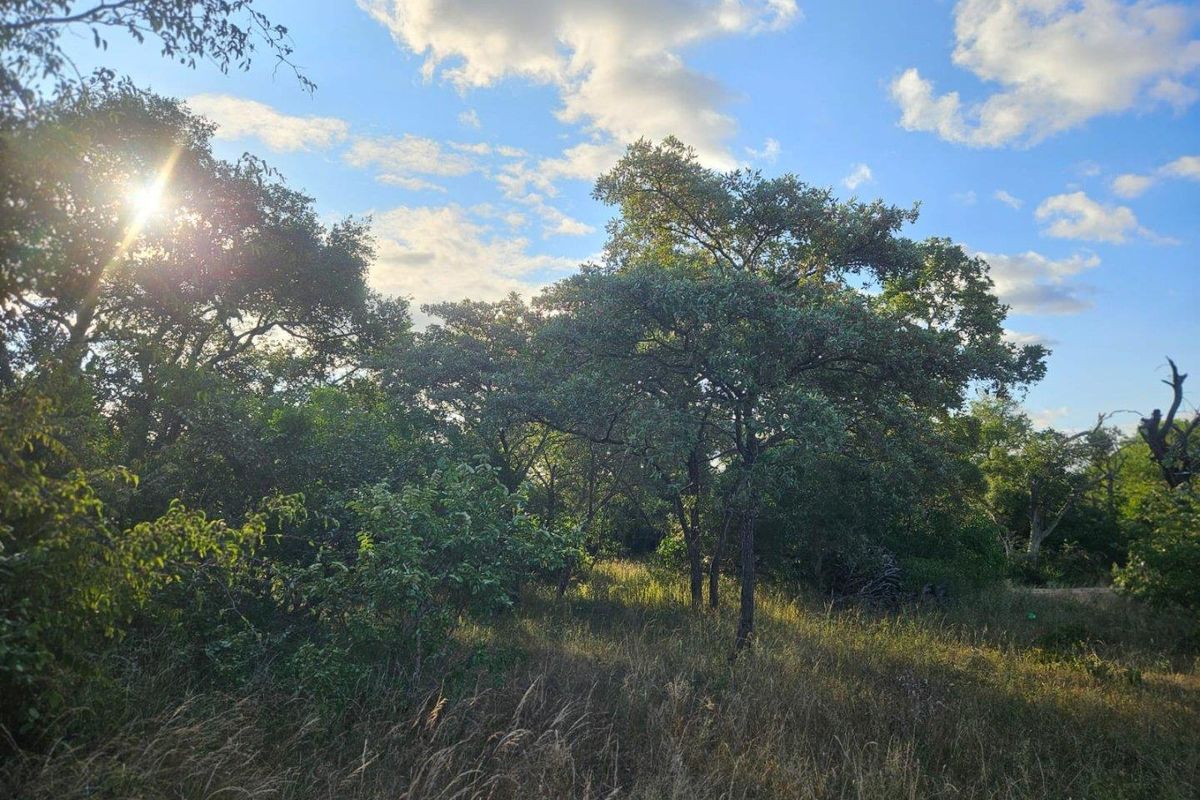 Vacant Land in MODITLO NATURE RESERVE - Photo 2