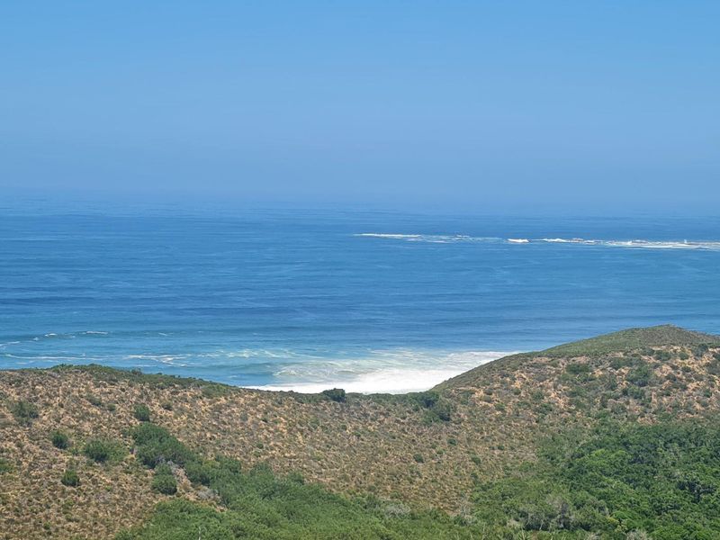 Natures dream - Photo 9