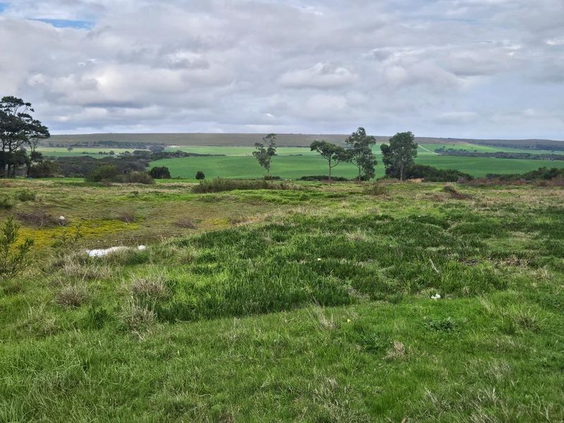 Expansive 10.97 Hectare Lifestyle Farm with Scenic Views - Photo 4