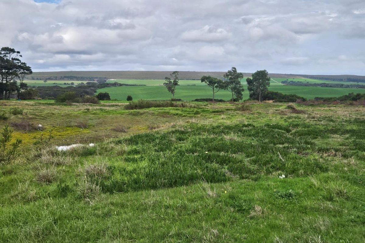 Expansive 10.97 Hectare Lifestyle Farm with Scenic Views - Photo 4