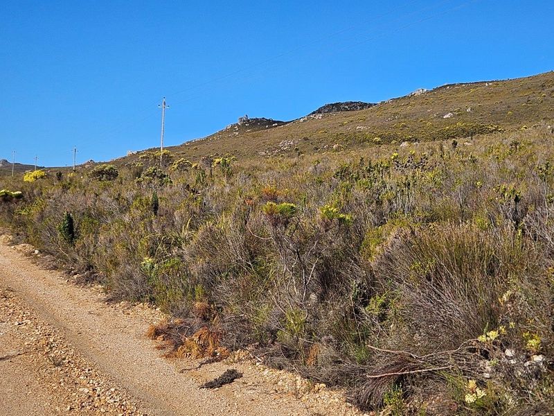 A Dream Come True - Photo 10