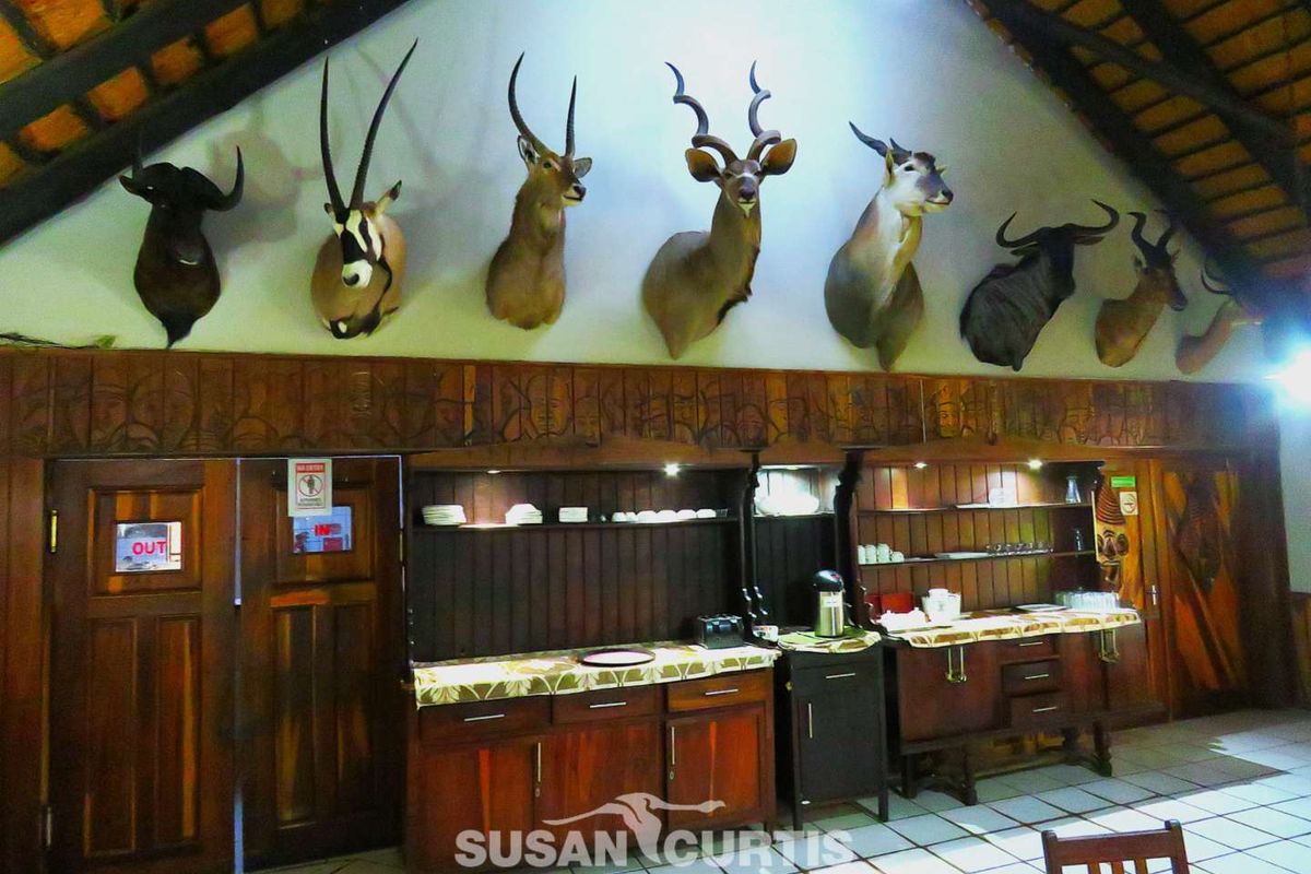 A lodge-style interior featuring extensive dark wood cabinetry, tiled flooring, and a high vaulted ceiling with exposed timber beams.