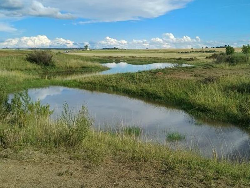 A scenic view of the farm landscape featuring natural ponds and expansive open grassland under a clear blue sky.