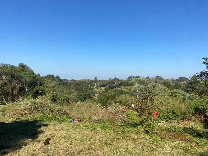 GENEROUS LAND OPPORTUNITY IN SOUGHT-AFTER EVERTON. - Photo 10