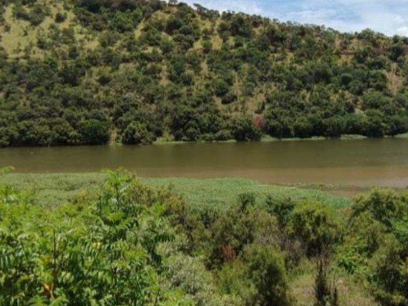 Relaxing views stand for sale. - Photo 9