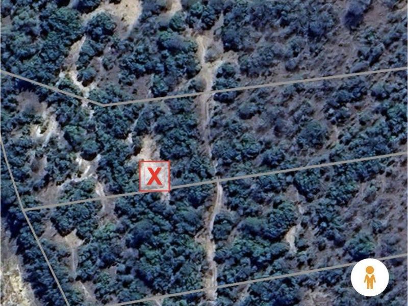 MODITLO NATURE RESERVE - Vacant land for sale! - Photo 7