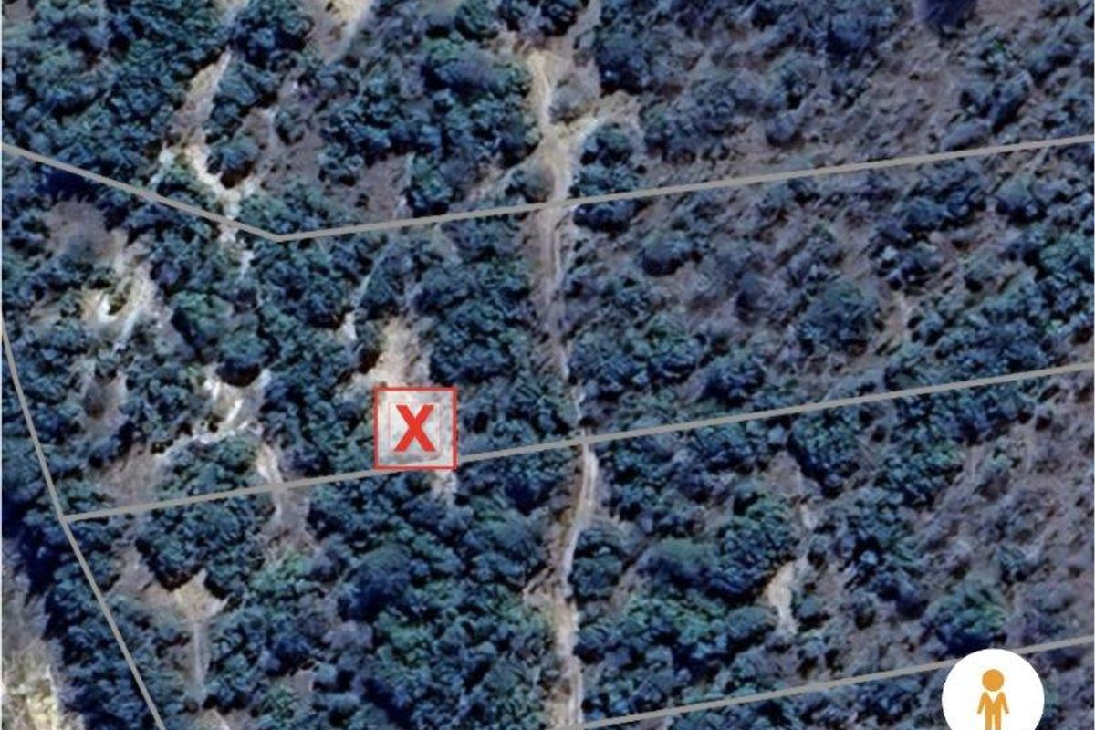 An aerial view of a vacant residential plot featuring dense natural vegetation and marked property boundaries.