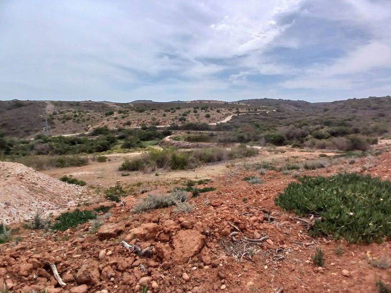 Exclusive 500m2 Stand with Dam Views in Outeniquasbosch Wildlife Estate - Photo 5