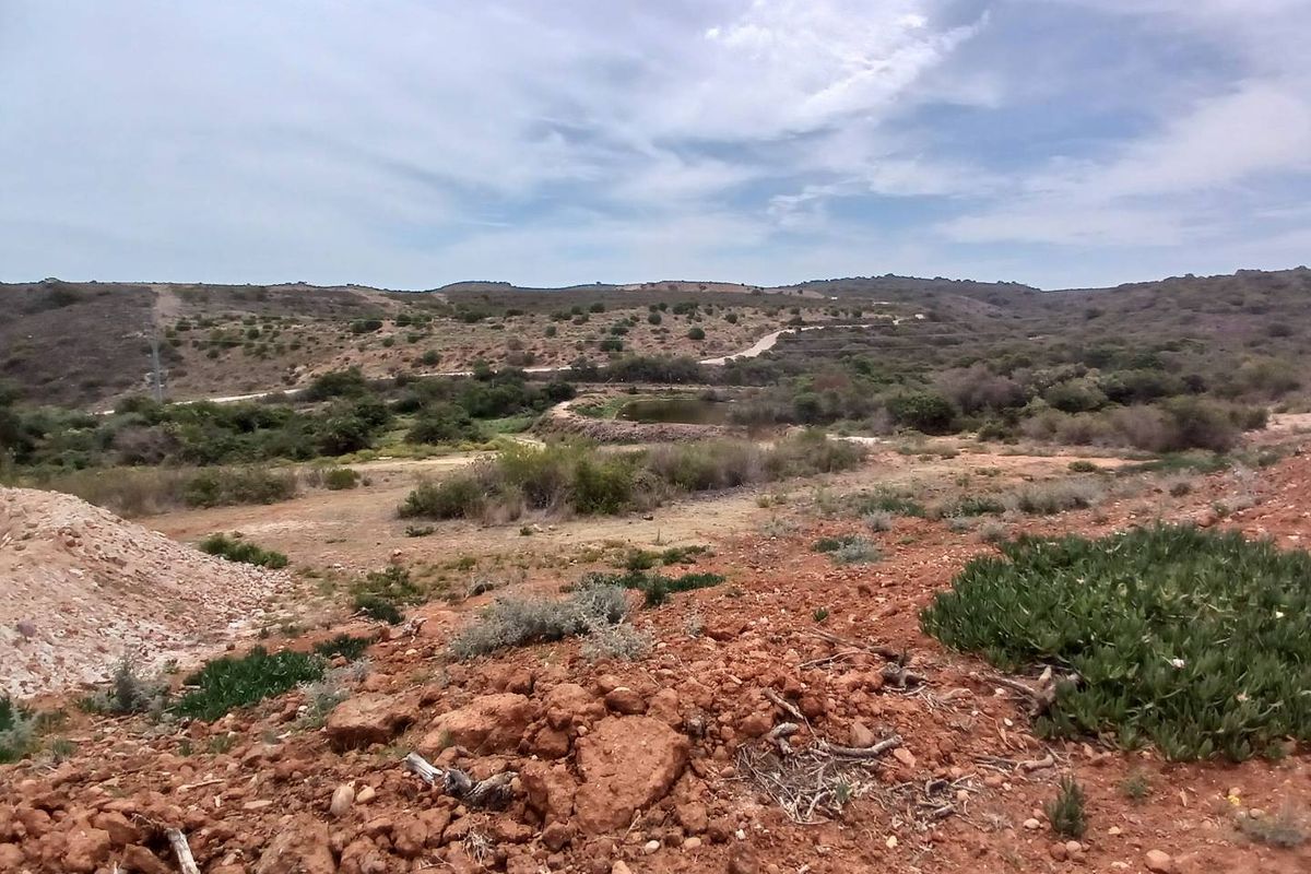 Exclusive 500m2 Stand with Dam Views in Outeniquasbosch Wildlife Estate - Photo 5