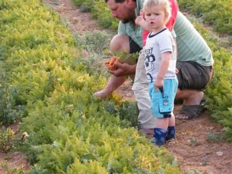 61 Hectares of Irrigated Farming Potential! - Photo 5