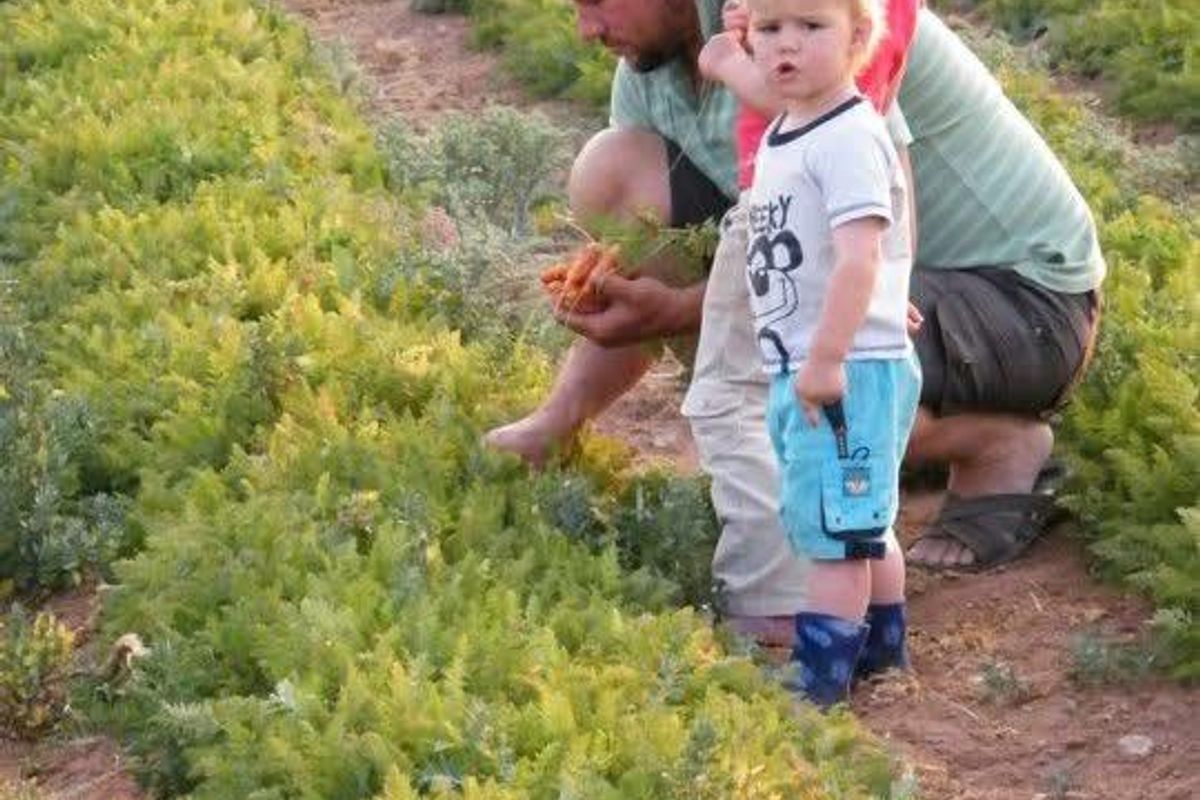 61 Hectares of Irrigated Farming Potential! - Photo 5