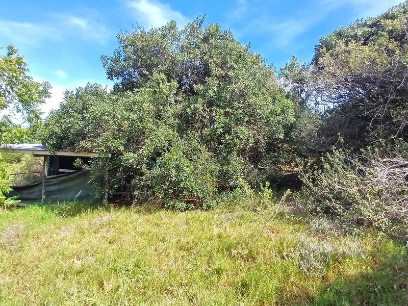 1195sqm vacant stand with established biogas digester and 2 rain water tanks - Photo 6
