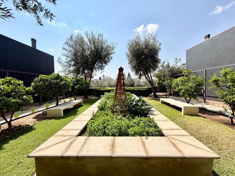 A beautifully landscaped garden featuring raised planting beds, stone bench seating, and mature trees set between modern townhouse structures.