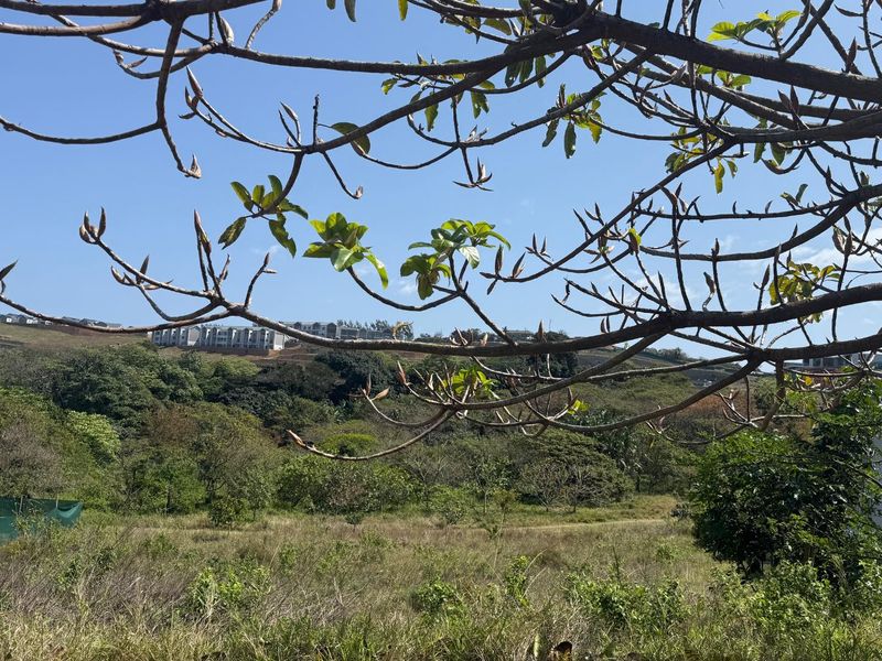 A view of the natural landscape and surrounding residential development from the vacant residential land plot.