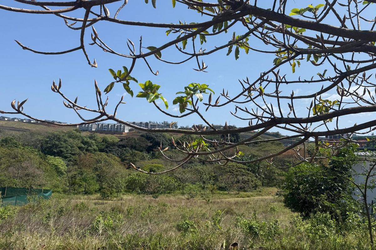 A view of the natural landscape and surrounding residential development from the vacant residential land plot.