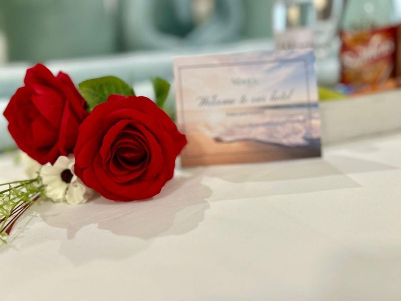 We invite serious buyers and investors to consider this exceptional opportunity to acquire a fully operational and well-established boutique hotel . - Photo 9