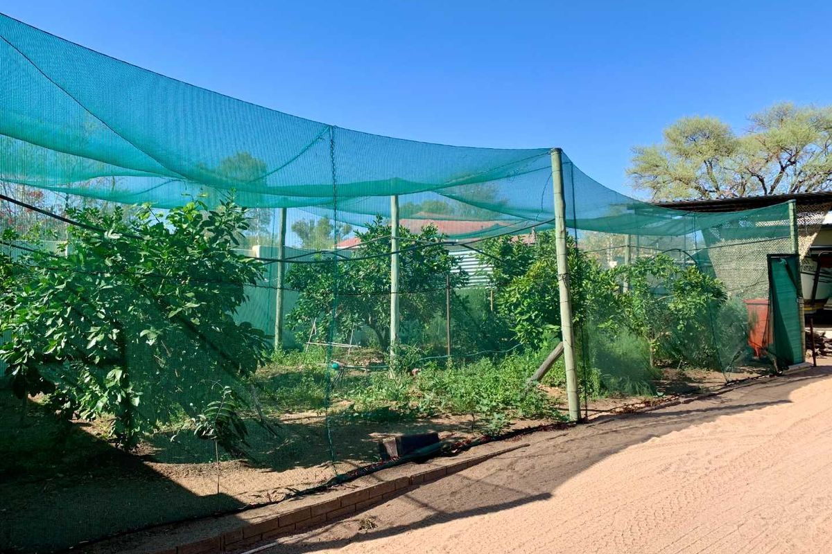 Okahandja 🌟 Live Luxuriously, Sustainably! 🌟 - Photo 3