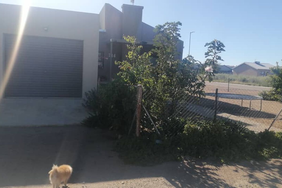 Modern House For Sale-Okahandja - Photo 4