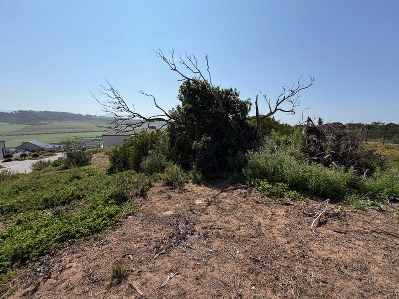A view of an undeveloped residential plot featuring native vegetation, natural terrain, and surrounding neighborhood views.
