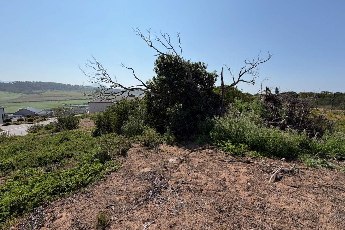 Level 788 m2 Stand with Ocean and Mountain Views R2 000 000 | Rheebok Village Estate - Photo 3