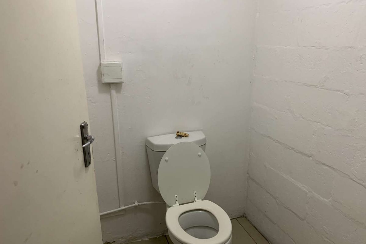 A basic, functional restroom facility featuring a standard toilet and exposed surface-mounted electrical conduit on painted block walls.