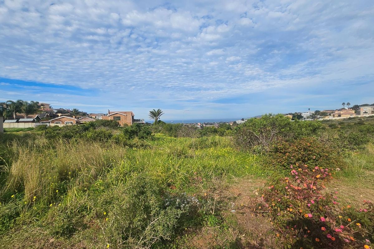A wide-angle view of the vacant residential land featuring natural coastal vegetation and distant ocean views.