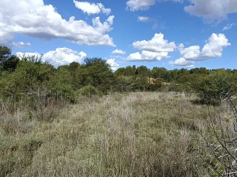 VACANT LAND. VERY SAFE AREA.   AFFORDABLE PRICE. ONE SIDE HAVE  A SMALL BUSHY AREA. - Photo 6