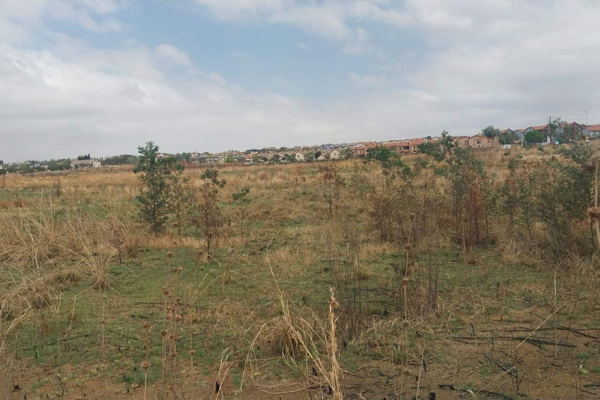 PRIME VACANT LAND WITH EXCEPTIONAL DEVELOPMENT POTENTIAL FOR SALE IN MOOIKLOOF AREA - Photo 4