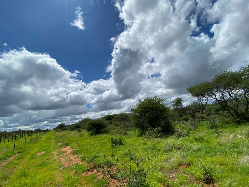 An exceptional opportunity to own a 1260 hectare game farm in the sought-after Hochfeld area – perfect for hunting, eco-tourism, or a private getaway. - Photo 5