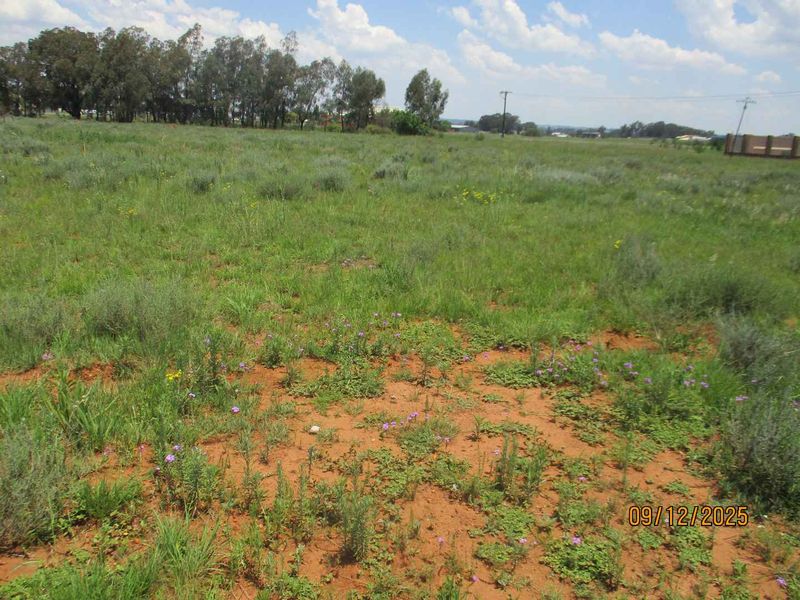 GOOD LOCATION VACANT LAND HIGHBURY MIDVAAL - Photo 5