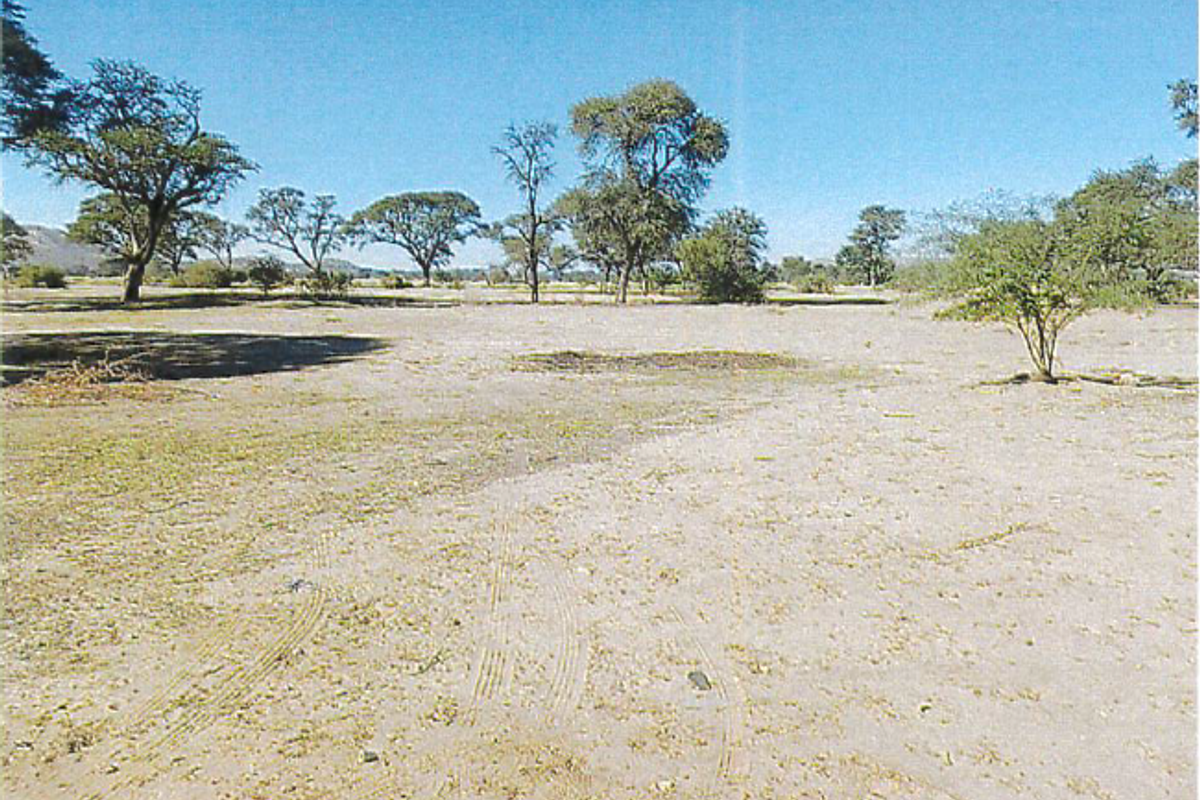 A wide-angle view of open, flat agricultural land featuring scattered native trees and natural vegetation under a clear blue sky.