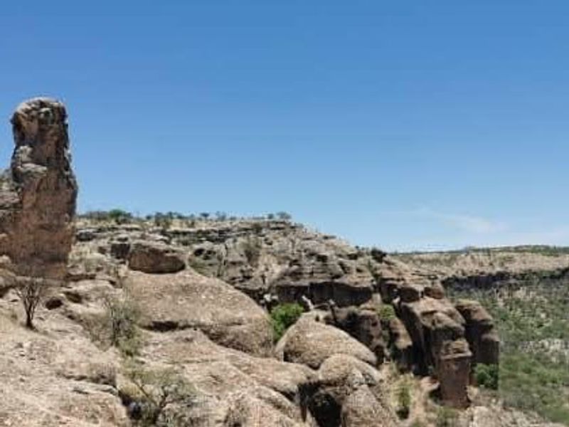Escape to nature with this incredible 2500Ha farm — the perfect investment for a lodge. - Photo 4