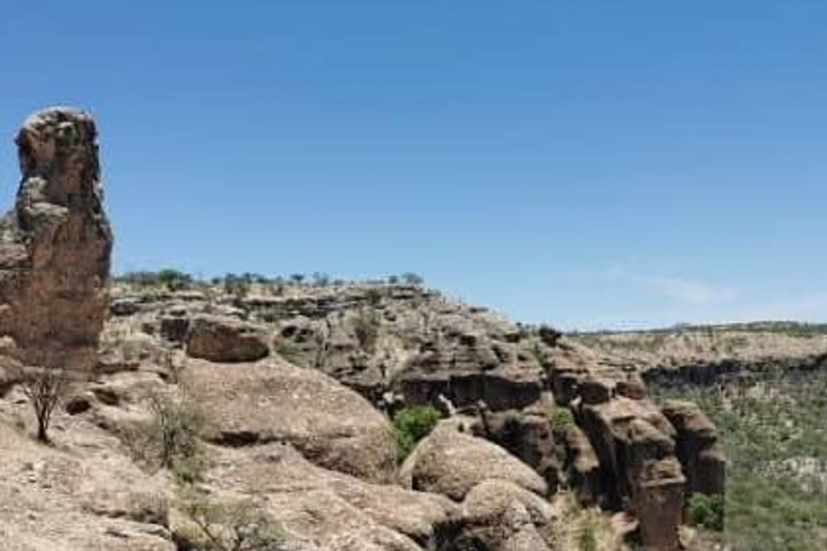 Escape to nature with this incredible 2500Ha farm — the perfect investment for a lodge. - Photo 4