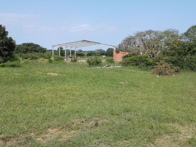 Vacant Land in MTUBATUBA - Photo 6