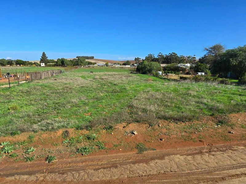 Prime Multi-Use Vacant Land for Sale: Ideal for Homesteading - Photo 4