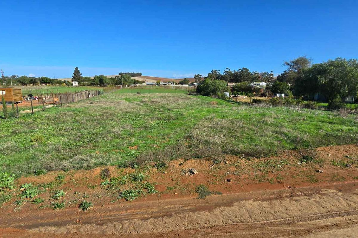 Prime Multi-Use Vacant Land for Sale: Ideal for Homesteading - Photo 4