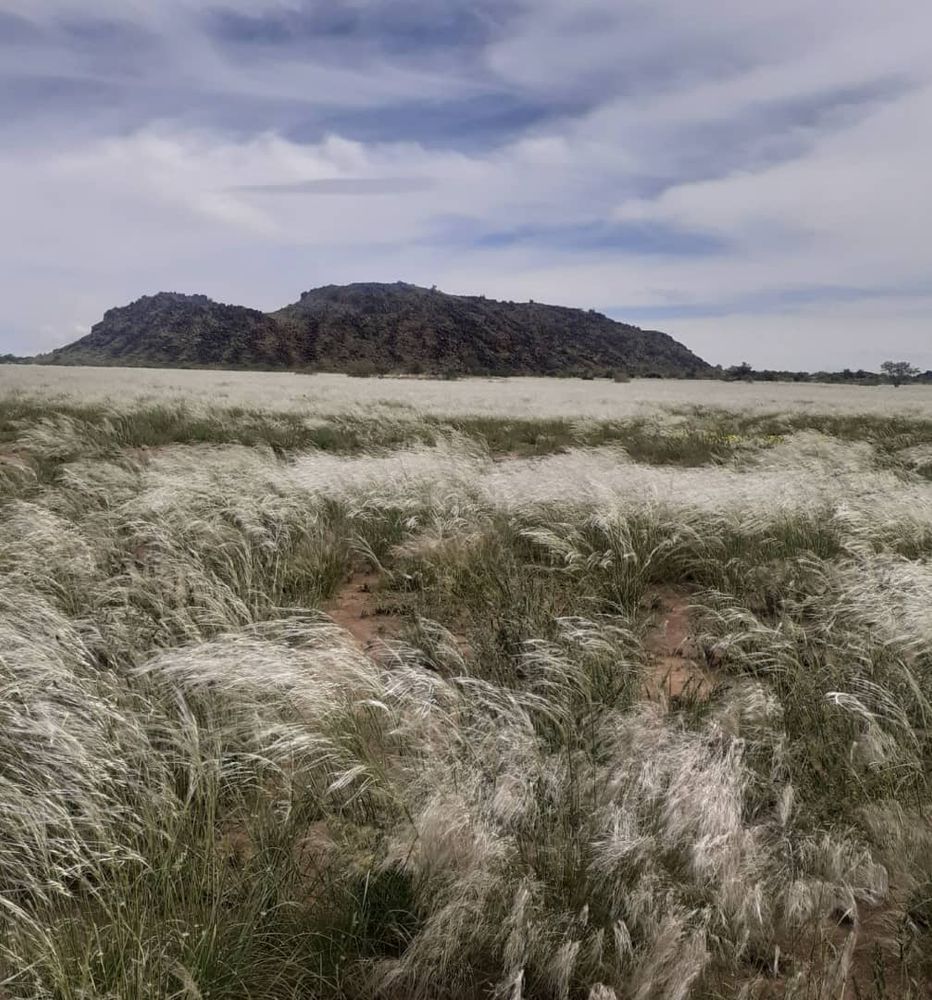 View of the field after the rain. 