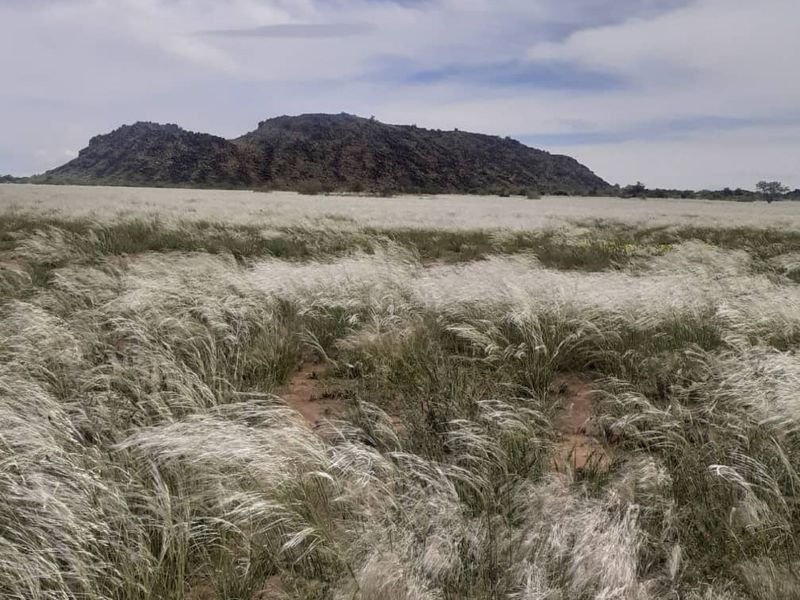 FOR SALE- FARM IN KEETMANSHOOP, NAMIBIA - Photo 4