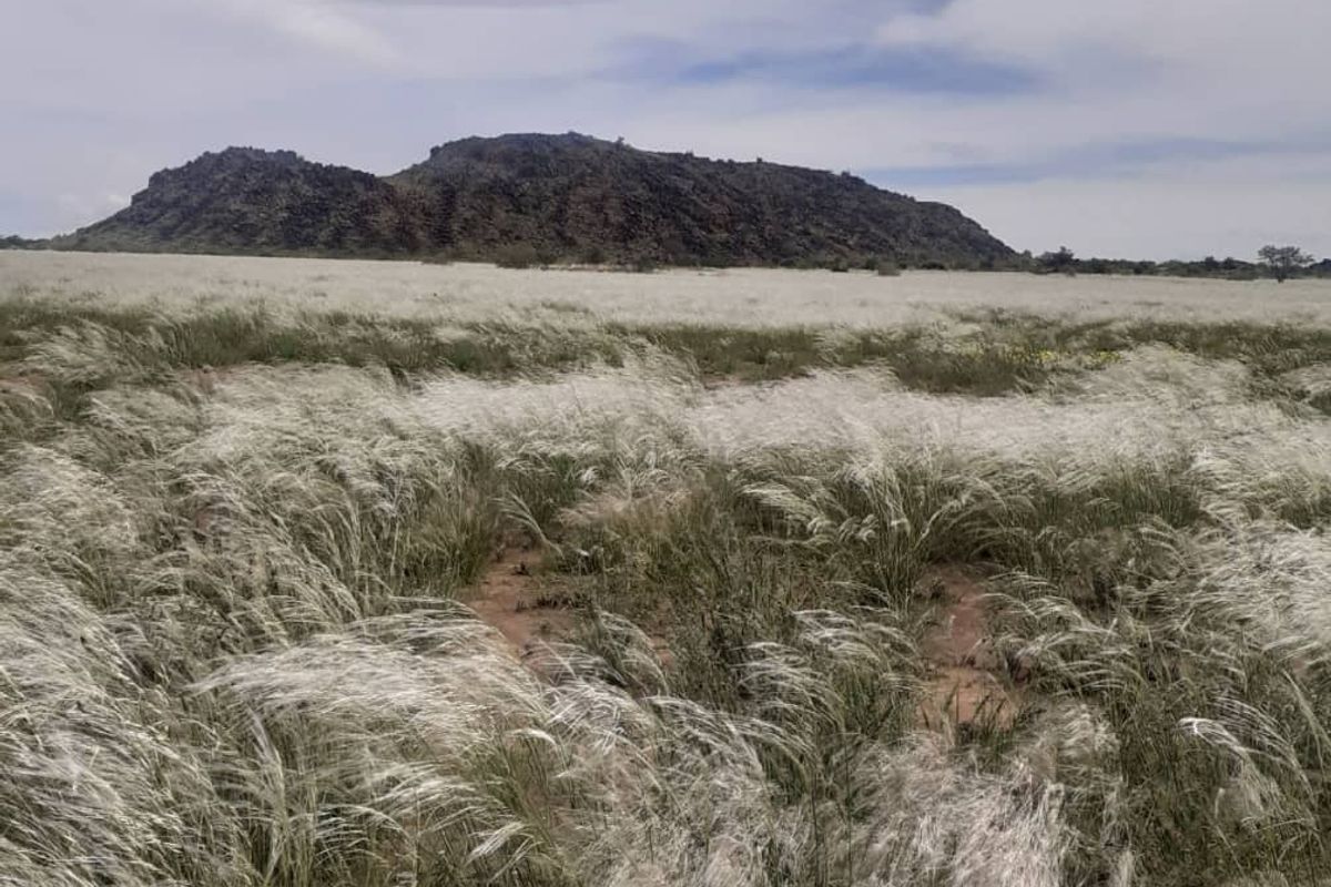 FOR SALE- FARM IN KEETMANSHOOP, NAMIBIA - Photo 4