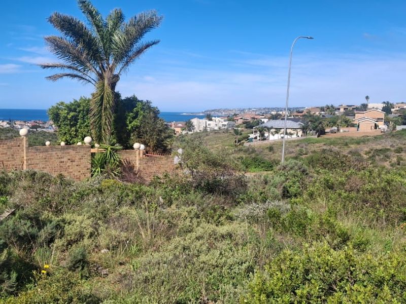A scenic view overlooking a coastal residential area, featuring natural vegetation and established neighborhood surroundings.