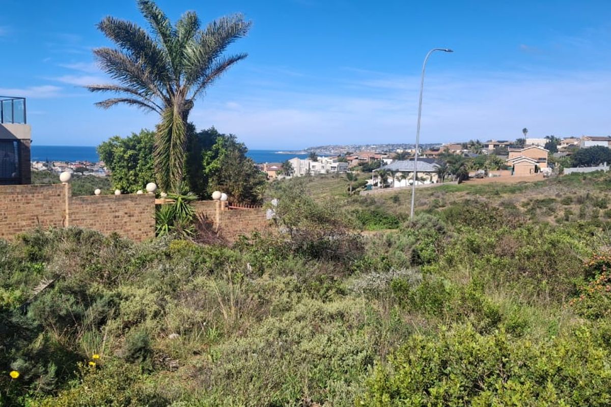 A scenic view overlooking a coastal residential area, featuring natural vegetation and established neighborhood surroundings.