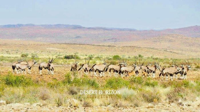 Property #2258163, Farm For Sale in Noordoewer Central