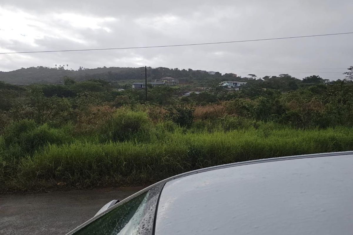A view of the vacant residential land featuring natural vegetation and surrounding landscape under an overcast sky.