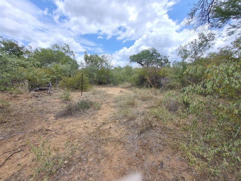 A view of a vacant residential plot featuring natural bushveld vegetation and a cleared pathway through the landscape.